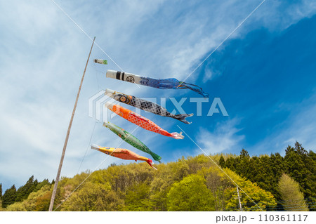 ふるさとの青い空を泳ぐ鯉のぼり ふるさとの青い空を泳ぐ鯉のぼり 110361117