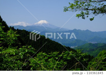 陣馬街道から望む春の富士山 【相模原市津久井 5月】 陣馬街道から望む春の富士山 【相模原市津久井 5月】 110361845