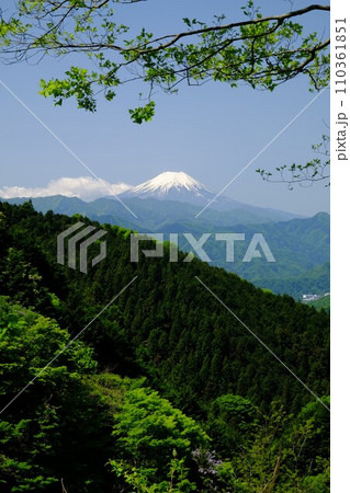 陣馬街道から望む、冠雪した富士山と新緑の山並み　【相模原市津久井　5月】 110361851