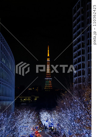 The best view in Tokyo 110362425