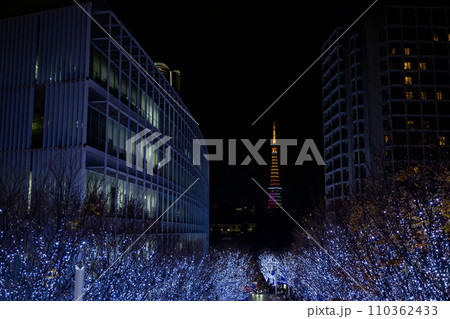 The best view in Tokyo 110362433