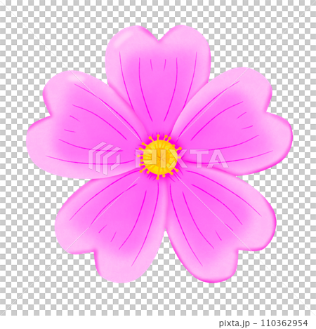 pink flower isolated on white background pink flower isolated on white background 110362954