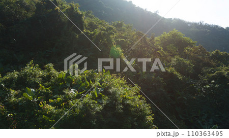 Aerial view of tropical forest landscape Aerial view of tropical forest landscape 110363495
