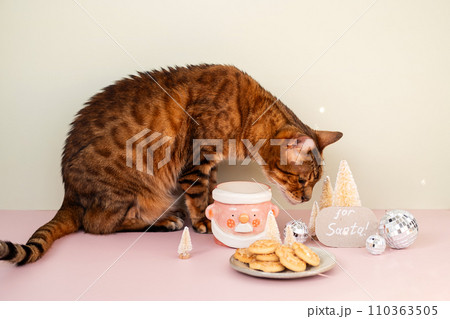 Cat stealing Santa's cookies and milk. Cat stealing Santa's cookies and milk. 110363505