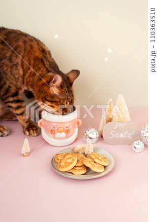 Cat stealing Santa's cookies and milk. 110363510