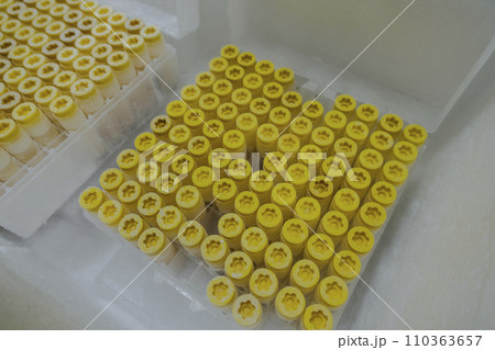 試験 実験する 実験 110363657