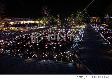 イルミネーション 110364158