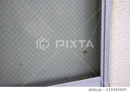 衝撃で破損した網入ガラス 衝撃で破損した網入ガラス 110364605