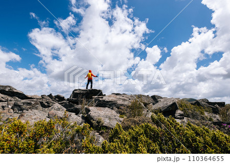 Hands on steering wheel driving car in city 110364655