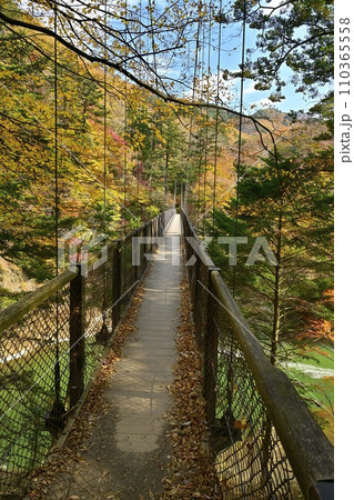 紅葉する塩原渓谷の回顧（みかえり）の吊橋 110365558