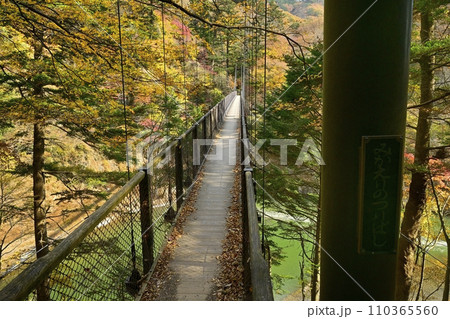 紅葉する塩原渓谷の回顧(みかえり)の吊橋 紅葉する塩原渓谷の回顧(みかえり)の吊橋 110365560