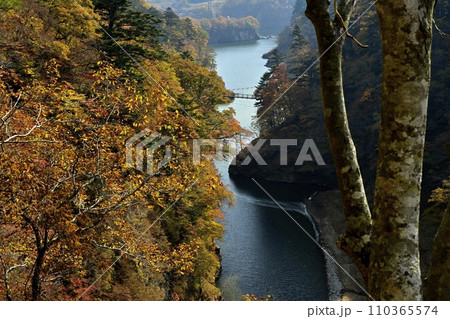 紅葉する塩原渓谷に回顧（みかえり）の吊橋 110365574