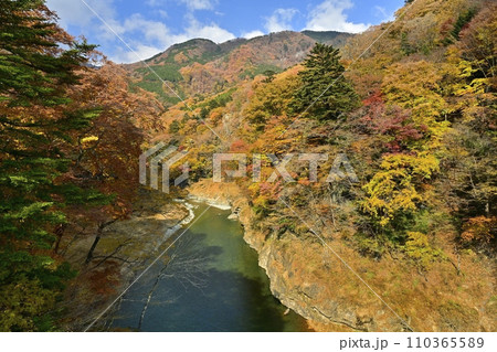 紅葉の塩原渓谷に箒川（塩原ダム湖） 110365589