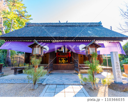 住吉大社の千年楠 住吉大社の千年楠 110366035