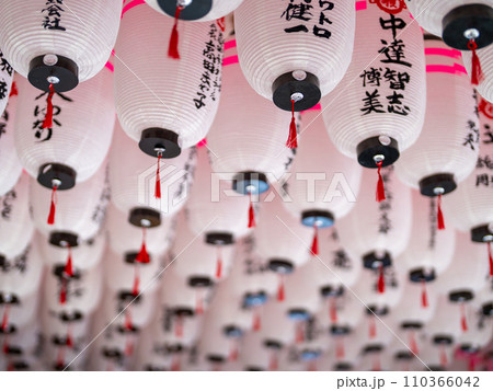 住吉大社の千年楠 住吉大社の千年楠 110366042