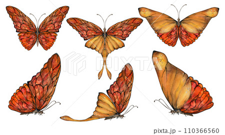 Hand drawn watercolor illustration butterfly fairy wings gem crystal insect moth. Amber garnet sunstone agate ruby. Set of objects isolated on white background. Design print, shop, wedding, birthday 110366560