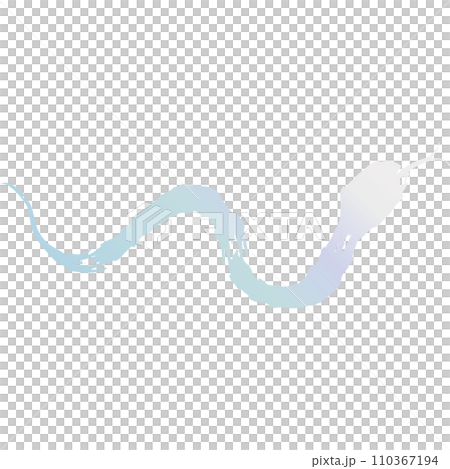 白蛇・巳・蛇・へびのイラスト素材　ベクター 110367194