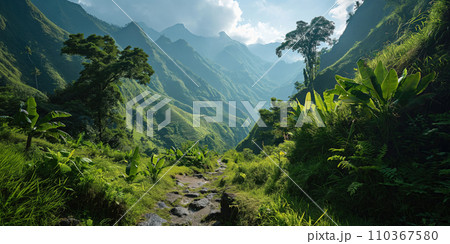 beautiful landscape of a high mountain valley with tropical vegetation and terraced fields in the background 110367580
