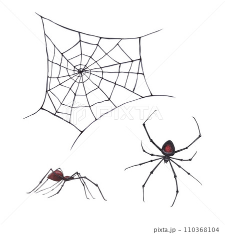 Black spider with cobweb magical texture isolated on white background. Watercolor hand drawn dark fantasy sketch iIllustration. Art design mystical halloween witch decoration, scary greeting card 110368104