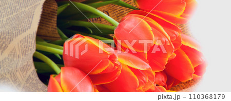 Bouquet of red tulips on the white background 110368179