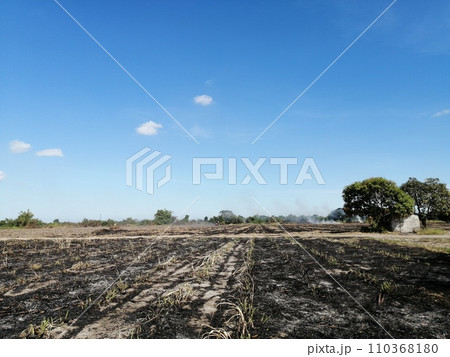 サトウキビ収穫後の焼畑（フィリピン） 110368180