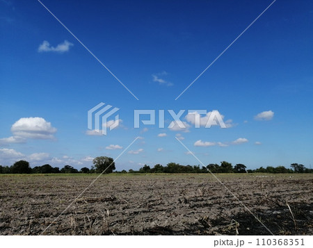 サトウキビ収穫後の焼畑（フィリピン） 110368351