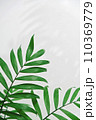 green palm leaf branches on white background. flat 110369779