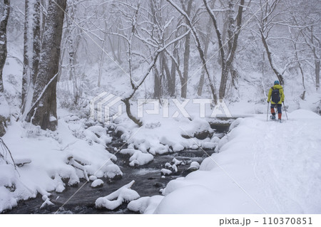 新雪の森を歩く　大山木谷沢渓流 110370851