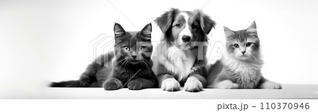 AI-generated content. Generated image of a black and white photo of three cats and a dog 110370946