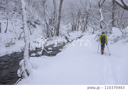 新雪の森を歩く 大山木谷沢渓流 新雪の森を歩く 大山木谷沢渓流 110370983