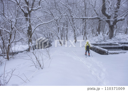 新雪の森を歩く 大山木谷沢渓流 新雪の森を歩く 大山木谷沢渓流 110371009