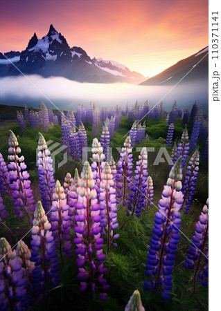 Blooming meadow among mountains. High peaks and flowers. Beauty in nature. Blooming meadow among mountains. High peaks and flowers. Beauty in nature. 110371141