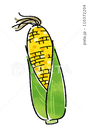 とうもろこし とうもろこし 110372204