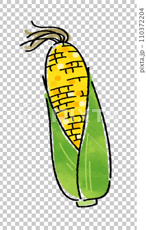 とうもろこし とうもろこし 110372204