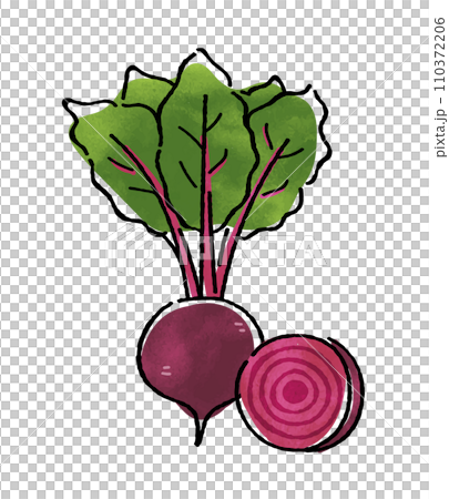 ビーツ ビーツ 110372206