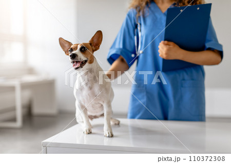 Happy dog with vet holding clipboard in clinic Happy dog with vet holding clipboard in clinic 110372308