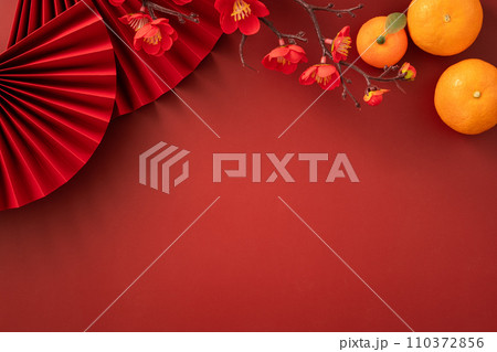 春節 中国正月 中国新年 110372856