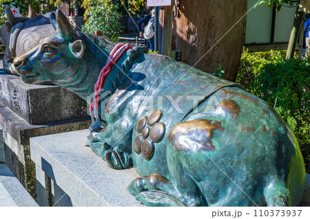 京都府長岡市　長岡天満宮の御神牛 110373937