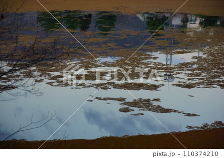 椋梨ダムの白竜湖面に生える藻 110374210