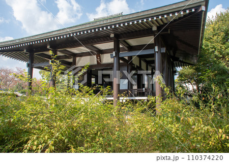 奈良県斑鳩町尼寺・中宮寺　秋色の本堂 110374220