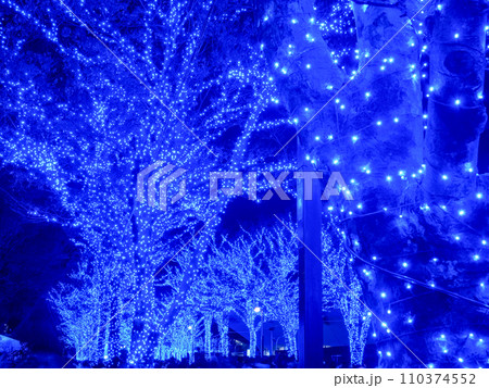 青の洞窟 SHIBUYA イルミネーション 青の洞窟 SHIBUYA イルミネーション 110374552