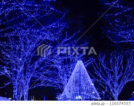 青の洞窟　SHIBUYA　イルミネーション 110374557