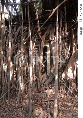 台南のカジュマルハウス 台南のカジュマルハウス 110374850