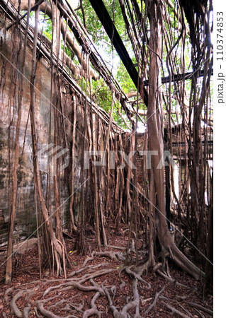 台南のカジュマルハウス 台南のカジュマルハウス 110374853