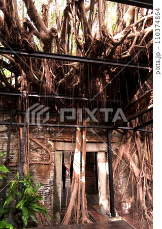 台南のカジュマルハウス 台南のカジュマルハウス 110374864