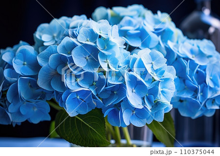 Blue hydrangea flowers on a blue background 110375044