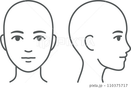 Unisex face and head profile diagram 110375717