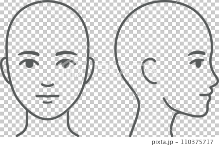 Unisex face and head profile diagram 110375717