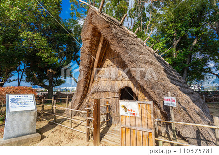 兵庫県尼崎市 田能遺跡 方形竪穴住居 兵庫県尼崎市 田能遺跡 方形竪穴住居 110375781
