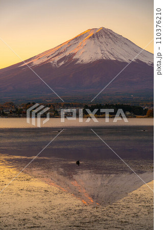 【富士山素材】朝の河口湖から見た富士山【山梨県】 【富士山素材】朝の河口湖から見た富士山【山梨県】 110376210